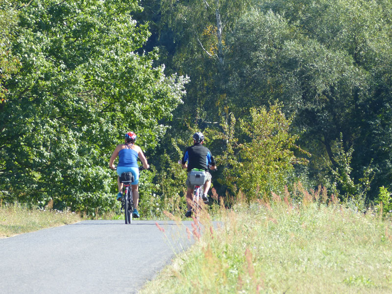 Radfahren an der Mainschleife nahe der Ferienwohnung in Volkach am Main
